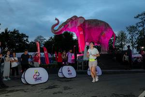 BIB: 
                            <button type="button" onclick="openModal(26529743)" class="btn btn-primary btn-sm float-right btn-popup" data-toggle="modal" data-target=".modal-high-quality">
                        <i class="fas fa-shopping-cart"></i> Add to Cart
                    </button>
                                            <button type="button" onclick="isThisMe(26529743, true)" class="btn btn-success btn-sm float-right btn-popup btn-isme hidden" data-toggle="tooltip" data-placement="bottom" title="นี่คือรูปของคุณใช่ไหม คลิกที่นี่เพื่อเอาเข้าอัลบั้ม">
                        <i class="fas fa-plus"></i> Add to album
                    </button>
                    <button type="button" onclick="isThisMe(26529743, false)" class="btn btn-warning btn-sm float-right btn-popup btn-isnotme hidden">
                        <i class="fas fa-ban"></i> Remove from album
                    </button>